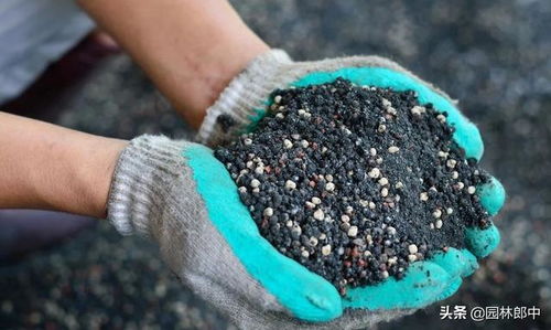 多种肥料任你挑，化肥也要细挑细选