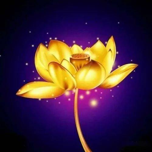 黄金莲花（永恒的律动）中的“永恒的律动”是指什么