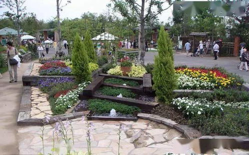 二、种植过深或覆土过多怎么办？