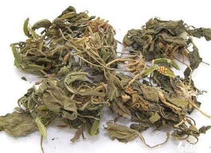 同种药材，价格为何相差如此之大？