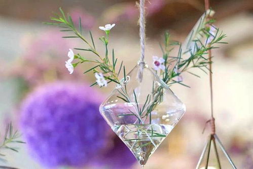 “寂寞草，平淡之美，简单力量，治愈心灵。”