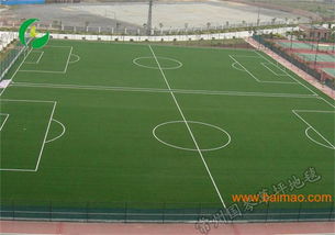 草坪铺设：大地的绿毯