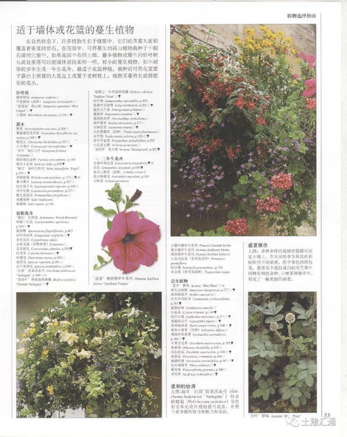植物百科全书怎么选？实用小技巧