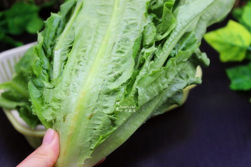 黄色叶菜，营养丰富，养眼又养心