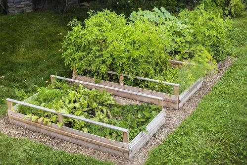 红泥土壤适合种植哪些植物？其肥力如何