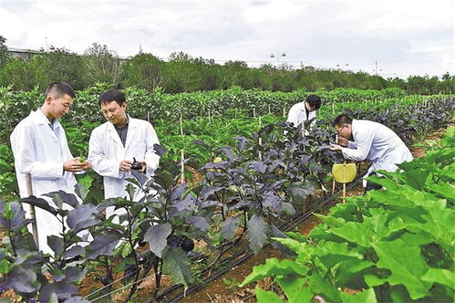 生物农药，绿色环保又平安