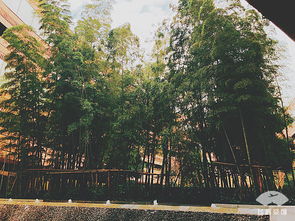 西北秘境：甘肃的防风卫士