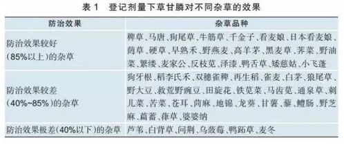 产房人员效率翻倍，工作轻松