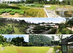 自然风：回归自然的宁静