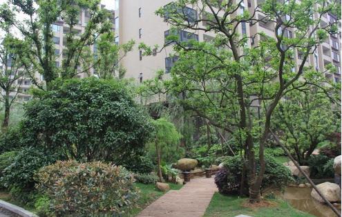 小区绿化新规下的树木选择