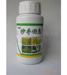 杨树脆弱，得用心呵护