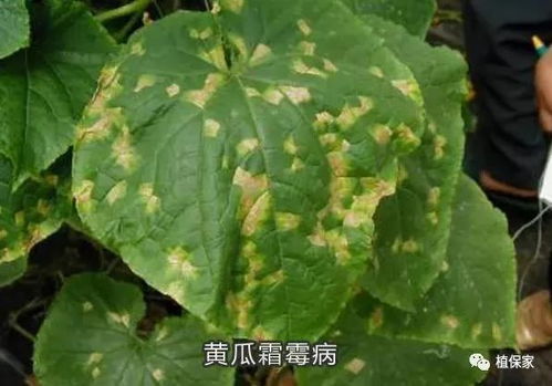 避免频繁使用这类药剂