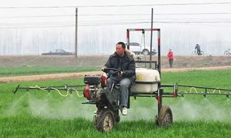 氟唑磺隆， 除草小Neng手