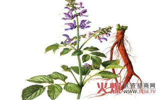 特殊肥料，要选对