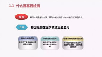 代理加盟的曲折历程