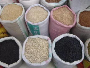 各地皂角种子价格大揭秘