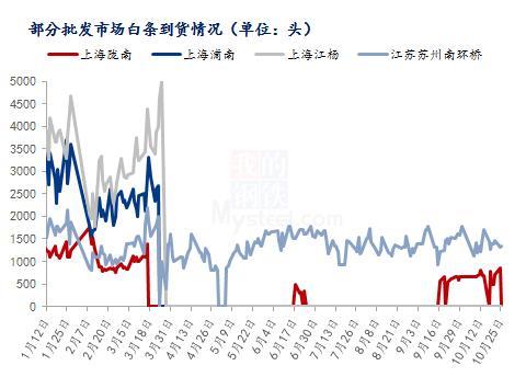 目前猪价行情大分析，请问当前猪肉价格走势如何，是上涨还是下跌？