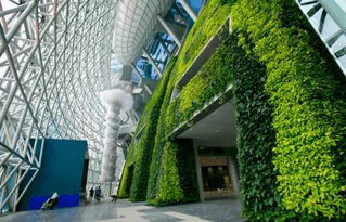 阳光房耐热植物的选择