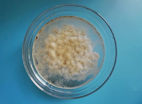 甲维盐的杀虫原理与应用