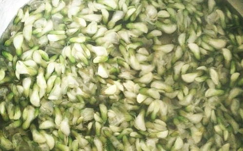 第二步：土地阴湿， 就像给它盖个被子