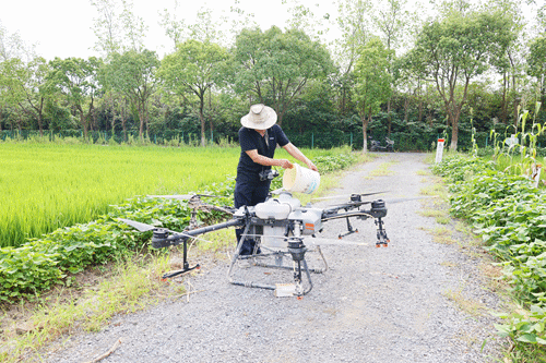 防范为主，先来了解一下农药的小秘密