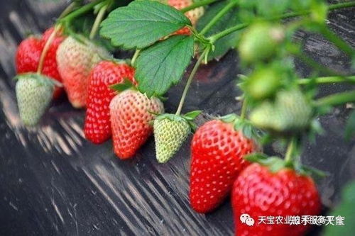 土壤里的影响：悄悄地改变