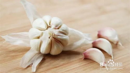 “花卉叶子发黄，如何挽救