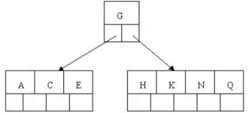 芽点的插入：精确到毫米