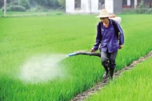 除草剂大揭秘：草甘膦的威力