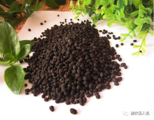 生姜皮作为有机肥料使用效果如何？
