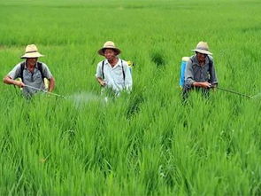 注意事项多多多