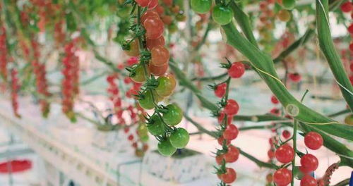 问题来了怎么制定方案呢？