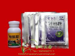 山药炭疽病的噩梦，丙环唑来帮忙