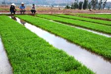 自家牧场好帮手， 代销也行