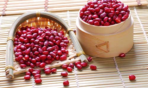 “红豆速成花，7天绽放奇迹！”