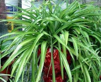 二、 水分过多或过少