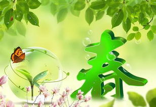 春季播种：万物复苏， 竹子生长好时机