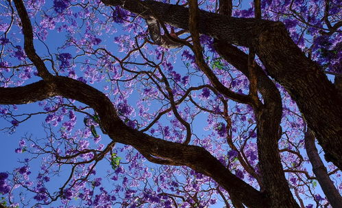 光照与温度的平衡