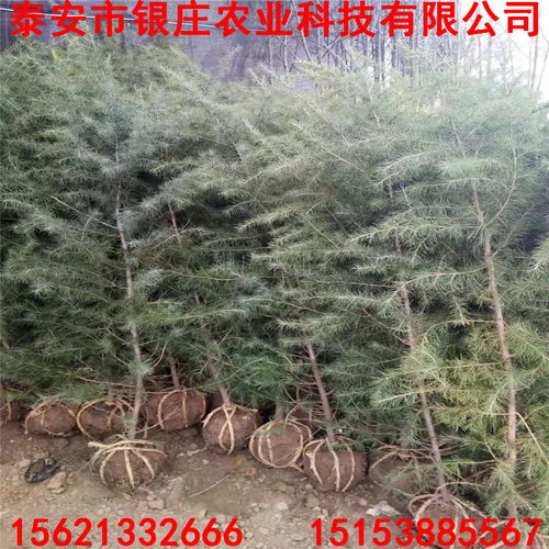 选购小贴士，你get了吗？