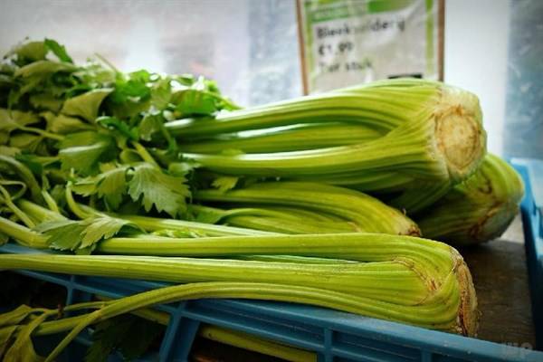芹菜富含纤维，低热量