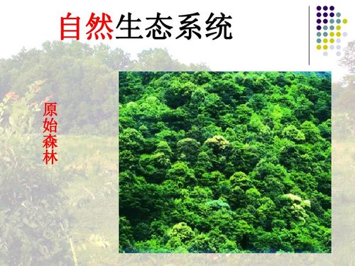 绿色植被的科学配置与养护，让大自然重焕生机