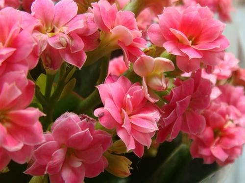 春季5月，生机勃勃