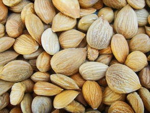 杏仁泡几天可依发芽？揭秘三天速成法提升成活率70%的秘诀