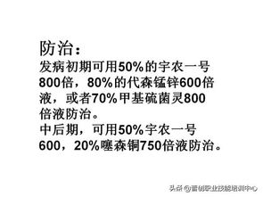 甲田光雄维基上的作物病害防治使用效果验证方法揭秘