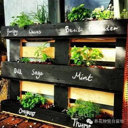 花园土哪里挖最好？这几种地方挖的土又肥又好