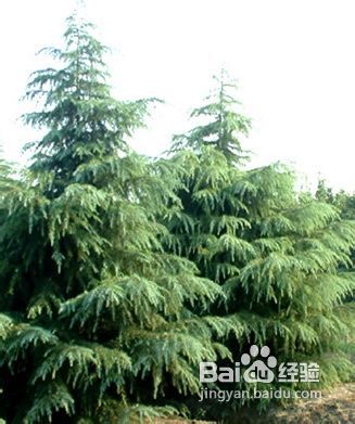 选地与准备：选址有讲究， 工具备齐全