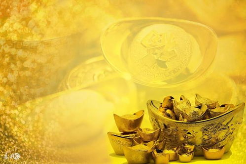 金钻花寓意招财进宝，这样摆放助你提升运势
