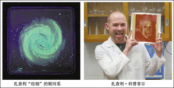 荧光标记：细菌的五彩斑斓世界