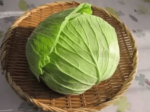 七、 卷心菜，层层包裹，农药难残留