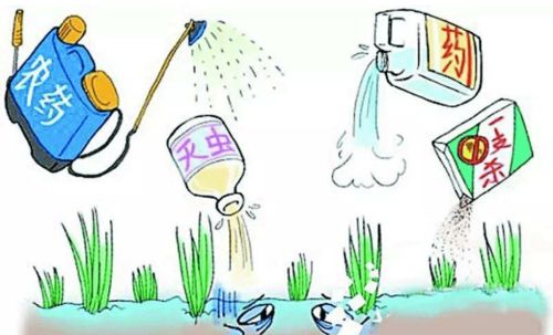 怎么避免药渣的产生呢？